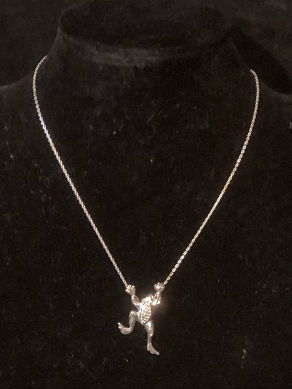 Silver Frog Pendant Necklace
